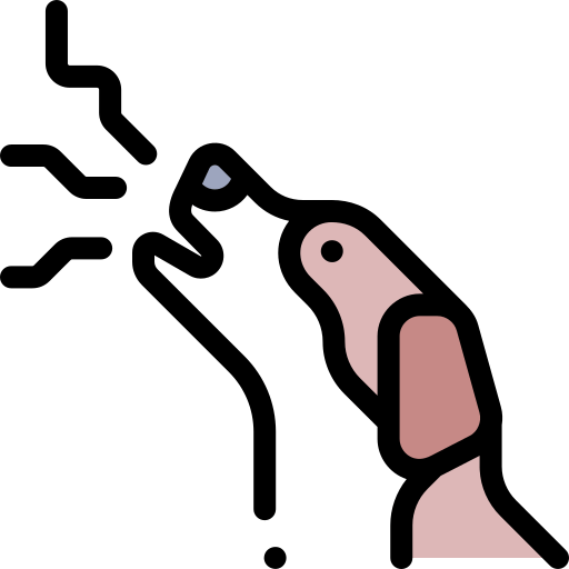 Home 6 behavior training dogs n dogs training