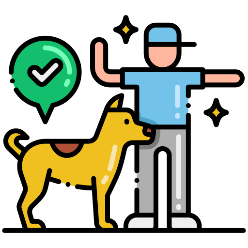 Home 12 dog show training dogs n dogs training