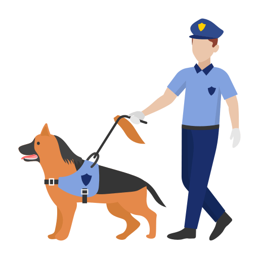 Home 9 protection training dogs n dogs training