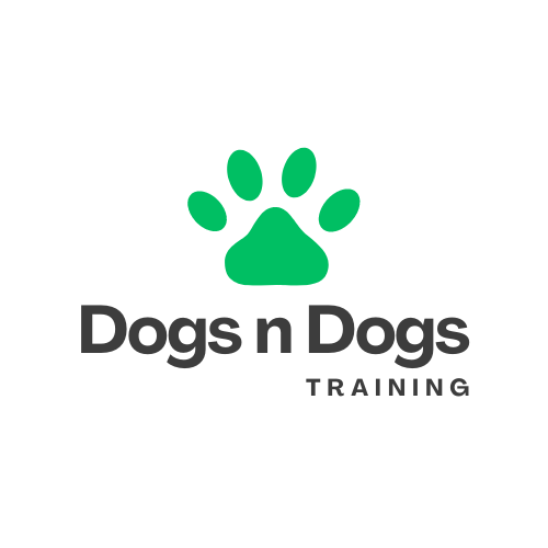 Best Dog Trainer Patna